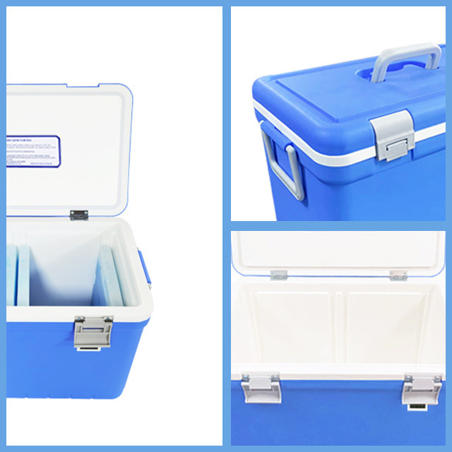 35L Plastic Cooler Box Vaccine Cold Chain Box Medical Transport Box Wholesale