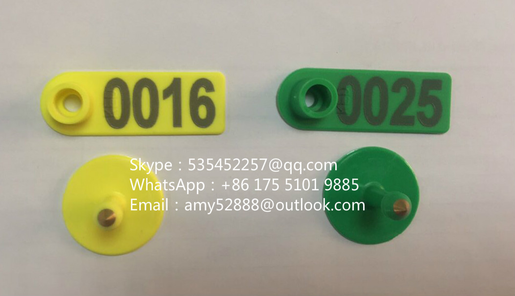 Ear Tag For Sheep/Pig/Cow