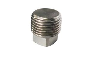 China 4&quot; Male 316 ANSI DIN2999 Threaded Pipe Fitting wholesale