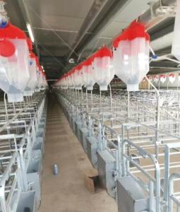 China Hot Galvanized Steel Individual Pen For Pregnant Sow wholesale