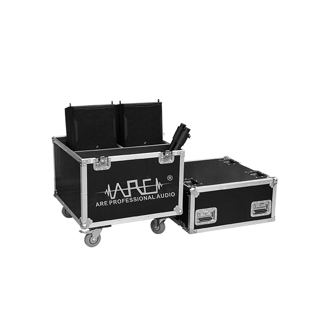 ARE Audio Passive Single 10 Inch Full Range PA System Professional Speakers for Outdoor Indoor