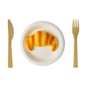 China Compostable Biodegradable Disposable 9inch 10inch Sugarcane Sugar Cane Bagasse Party Dinner Plate wholesale