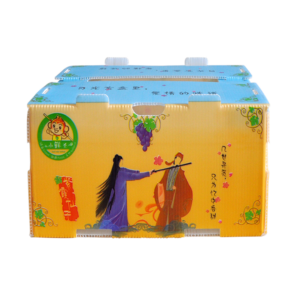 OEM Broccoli Fruit Corrugated Boxes Corrugated Plastic Delivery Box