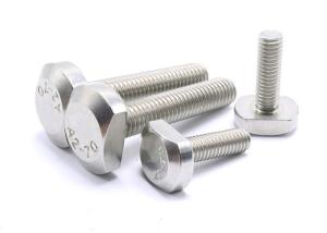 China non standard 0.01 mm Plating Stainless Steel Screw Bolt wholesale