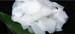 CAS 1310-73-2 Pharmaceutical Grade Sodium Hydroxide 99 % Caustic Soda Pearls