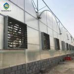 Multi Span 3.0m Arch Polycarbonate Greenhouses