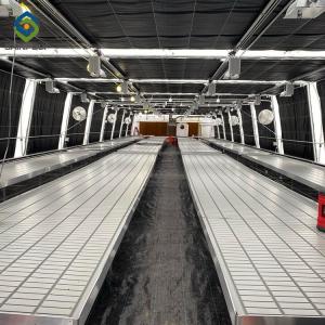 China CE 30m Hydroponic Blackout Light Deprivation Greenhouse wholesale