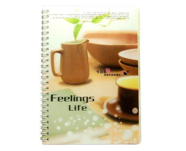 PLASTIC LENTICULAR high quality customized CD/DVD 3d lenticular cover printing pp pet book cover 3d lenticular plastics