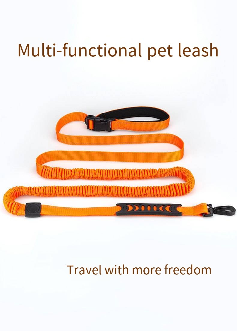 Custom Multi Functional Pet Leash Hands Free Dog Leash And Collars Set With Poop Bag