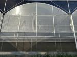Agriculture Large Green House Metal Frame Multispan Vegetables Growing Tunnel