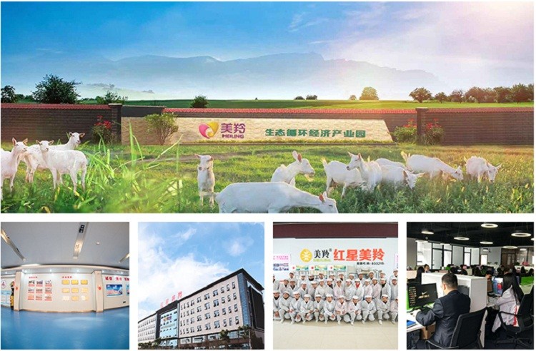 D90 Grade 25kg Demineralized Goat Milk Whey Powder