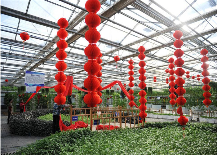 Beautiful Appearance Garden Glass Greenhouse Large Ventilated Area Shouguan
