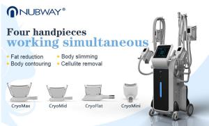 China 4 handles Cryo Therapy Cool Sculpture Zeltiq cryolipolysis machine 2018 wholesale