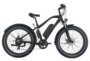 China 48V 750W Mountain E Bike with Tektro Hydraulic Brake system wholesale