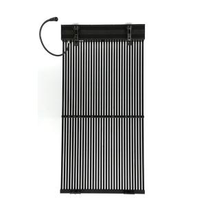 China DIP Media LED Curtain Display EV Series Vertical Horizontal Cabinet Position wholesale