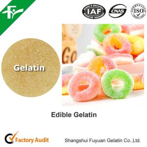 China Unflavored Edible Bovine Gelatin 200-280 Bloom Beef Skin Gelatin Powder For Food Industry wholesale