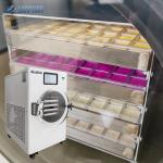 Vacuum Freezer Machine Home Freeze Dryers Drying Food Equipment With Oil Mist