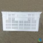 Farm Lightweight Plastic Crates Manufacturing for Baby Chick