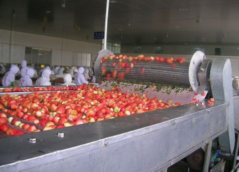 Heat Resistant Stainless Steel Conveyor Belt for Food Drying