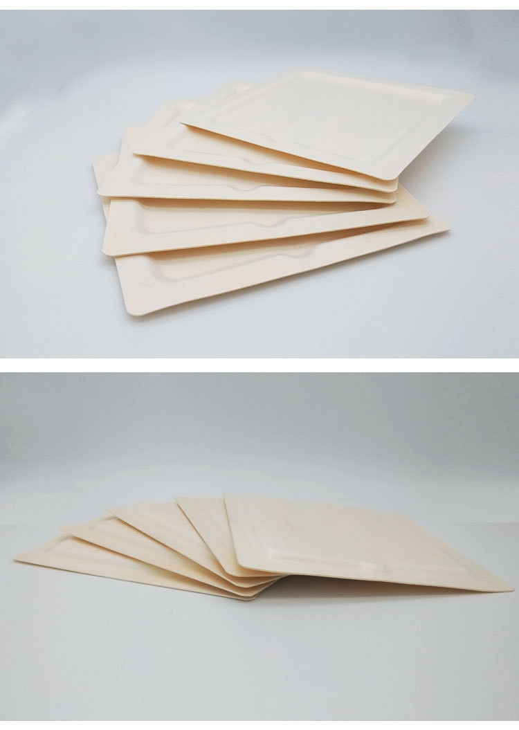 6 Inch To 10 Inch Disposable Sushi Plates 25pcs Per Bag