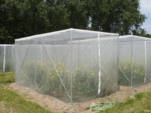 32 mesh anti insect net garden nets, pest barriers to protect the fruits of garden plants from bird pests, plant protect