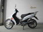 9.0NM Torque CDI Ignition 7500RPM 135CC Cub Motorcycle