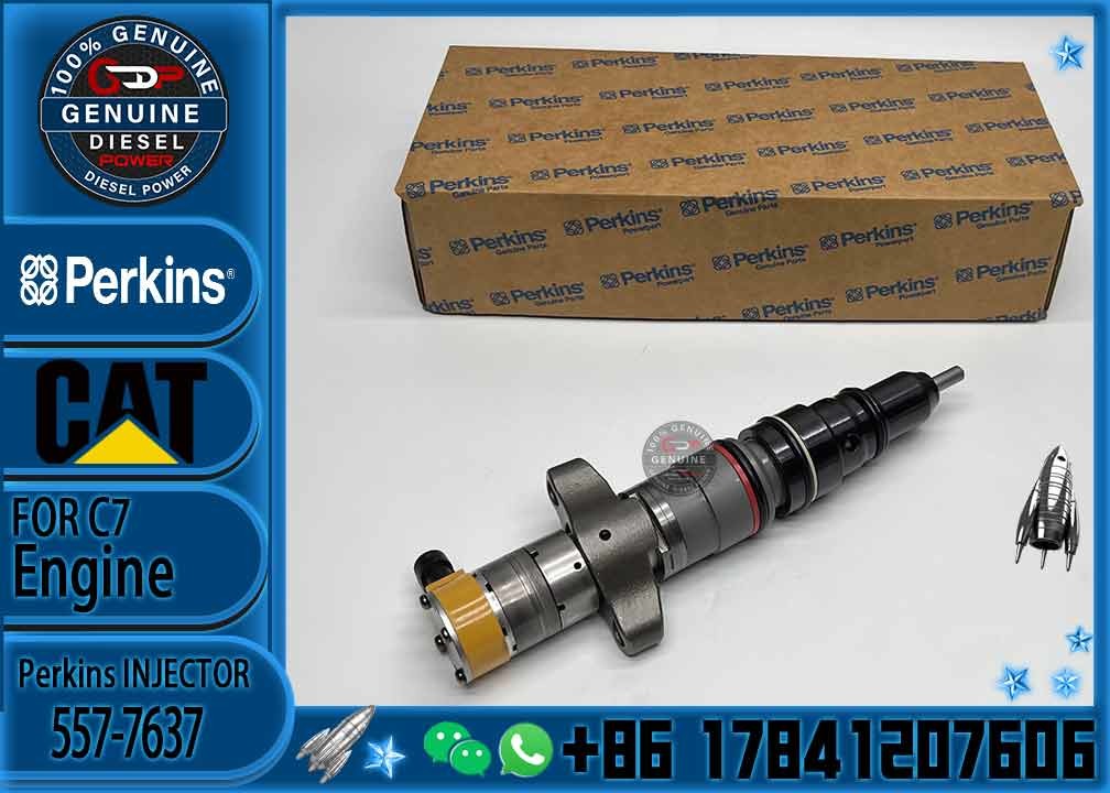 Diesel Engine Parts Common Rail Fuel Injector 557-7637 for CAT C9 330D 340D 336D Excavator CNDIP Factory price