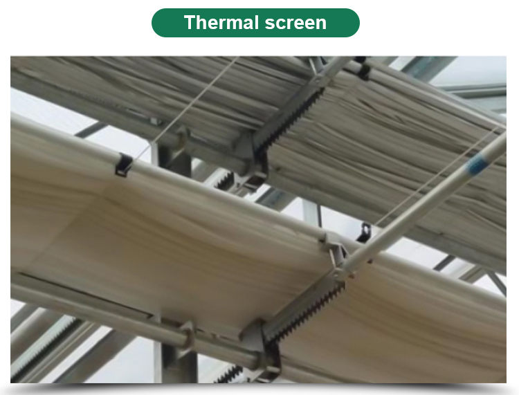High Yield Hydroponic Greenhouse for Tomatoes Vegetables and Flowers in Any Season