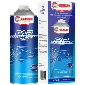China Sterilized Car Air Conditioner Cleaner Antibacterial Agent Odor Remover 250ml wholesale