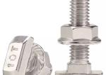 Strength DIN Standard Customized Thread Pitch Carbon Steel/Stainless Steel Bolt