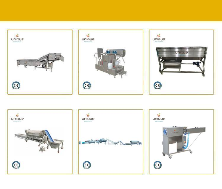 Revolutionize Your Palm Syrup Production with Our Dates Cleaning and Washing Machine