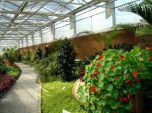 China Side Height 2-6m PC Sheet Greenhouse / Clear Polycarbonate Greenhouse For Flower wholesale