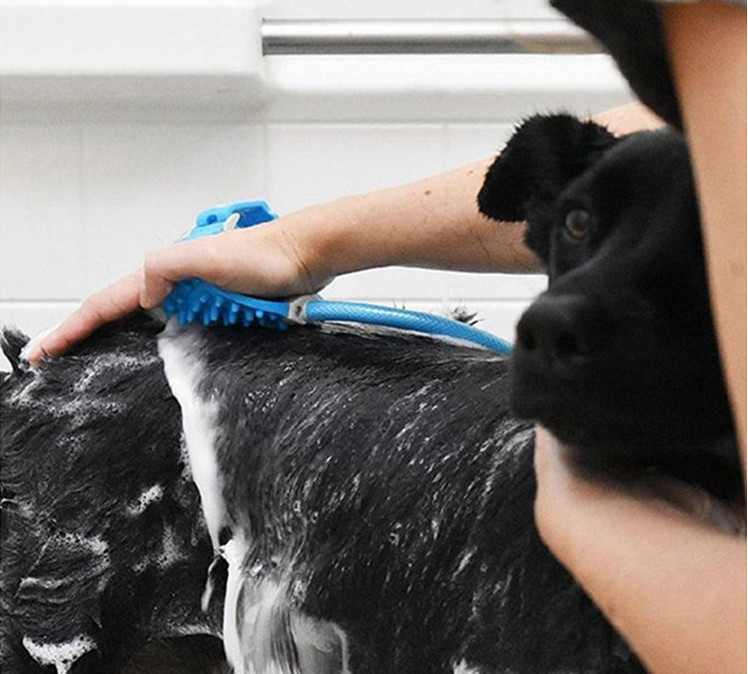 Customized Pet Hair Remover Glove Brush Lightweight Portable Dog Shower
