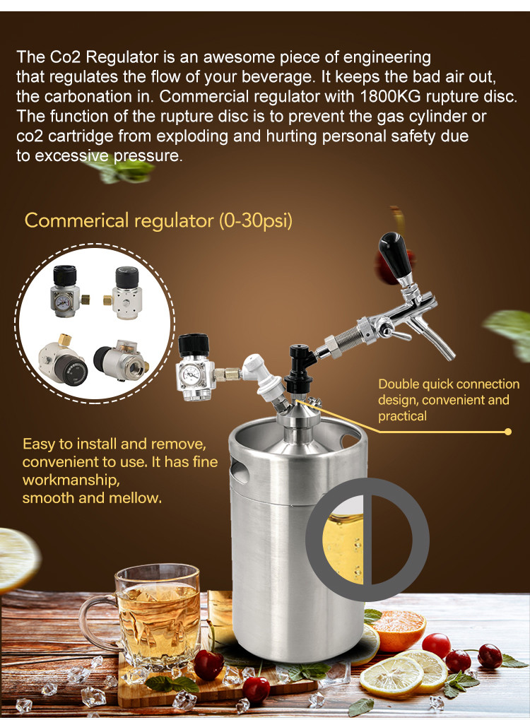 5L Home Brew Pressurized Ball Lock Mini Keg Cornelius Growler Dispenser