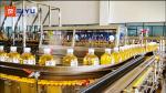 Flower Tea Packing Machine Automatic Beverage Packaging Equipment OEM
