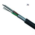 GYTS Steel Tape Armored SM Underground Direct Bury 24/48 Core Optical Fiber