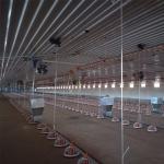 Poultry farm Henhouse turnkey solution