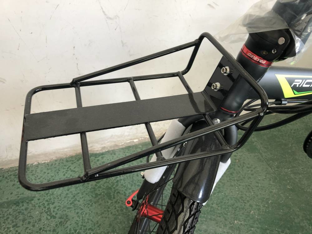 20 Inch Electric Folding Bike 250w 48v Hidden Seat Post Lithium Battery RICH BIT 760