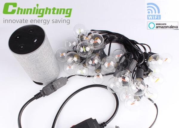 G40 2.4GHZ Wifi Commercial LED String Dimmable Smart Lights