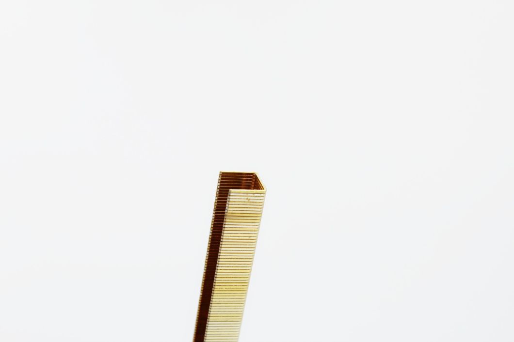 Top-Rated 14 Series Galvanized Industrial Wire Staples 20 Gauge with High Quality 1410