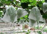 Polyester Polypropylene Non Woven Geotextile For Clothing And Geotechnical
