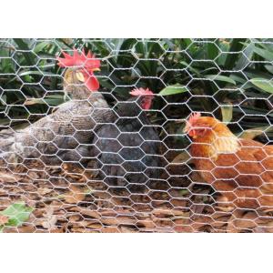 China Plastic Coated Chicken Wire Mesh , Chicken Wire Poultry Netting wholesale