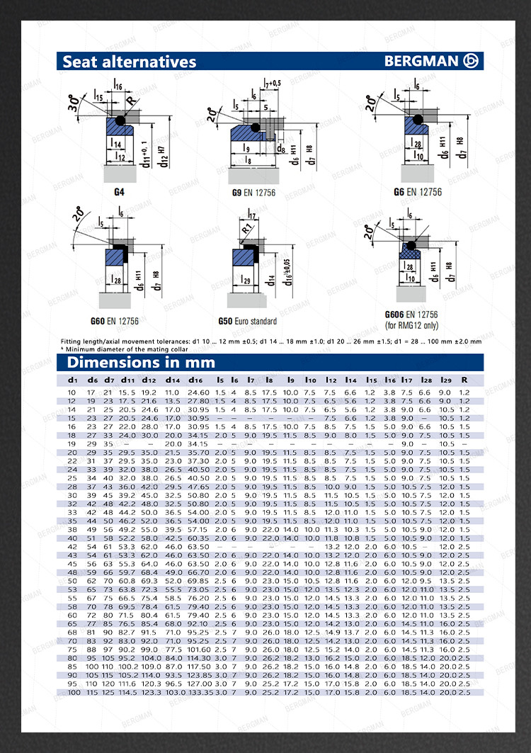BERGMAN Replaces John Crane 2100-S 12mm-100mm G60 G4 G6 G9 G13 G16 BS Bo BP Pump Mechanical Seal