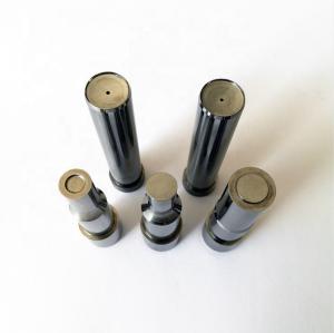 China High Polished HWS Punch Die Mold wholesale