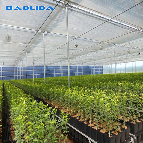 Galvanized Steel Pipe Agricultural Plastic Film Multi Span Tunnel Greenhouse For