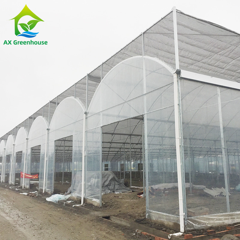 Multi-span Agricultural Poly Tunnel Greenhouse With UV Resistant Plastic