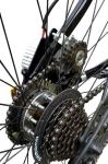 36v electric bike 29 inch 250W electric off road motorcycle