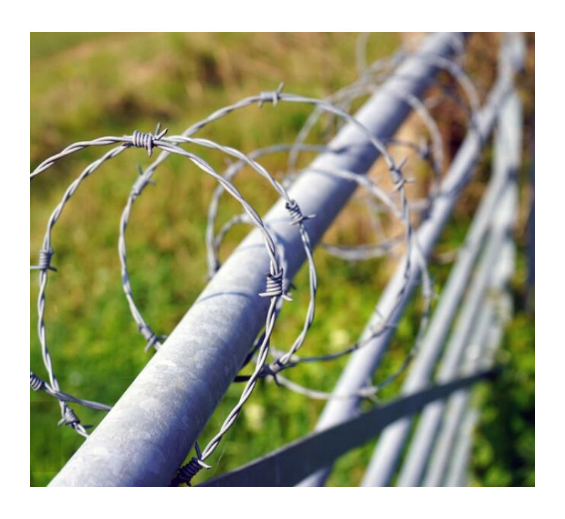KN Hot Selling Fencing Barbed Wire Electro Galvanized Barbed Wire