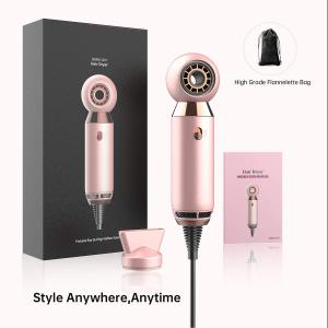 China 20*5cm Mini Moisturizing Electric 800W Portable Hair Blower wholesale