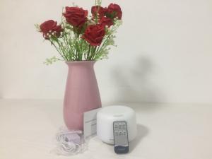 China 24Hz 300ml Ultrasonic Essential Oil Diffuser For Bedroom , Living Room wholesale